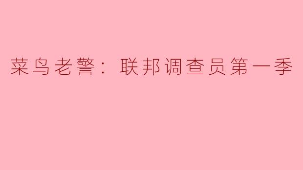 菜鸟老警：联邦调查员第一季
