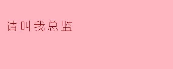 请叫我总监:职场中的自信与担当