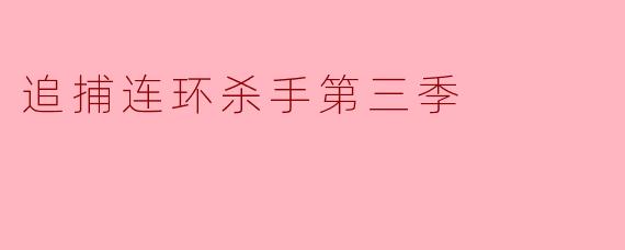追捕连环杀手第三季