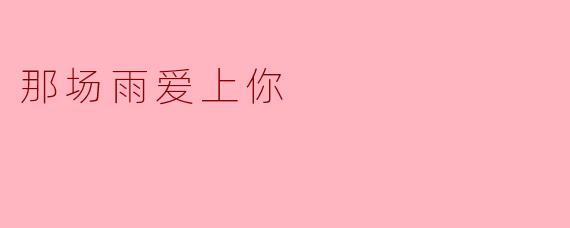 那场雨爱上你