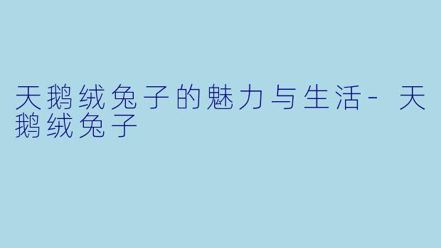 天鹅绒兔子的魅力与生活-天鹅绒兔子