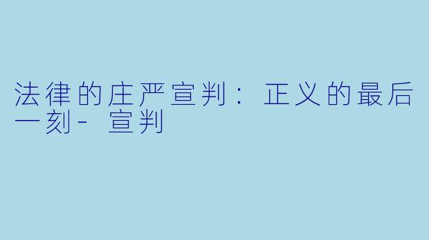 法律的庄严宣判：正义的最后一刻-宣判