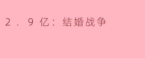 2.9亿：结婚战争