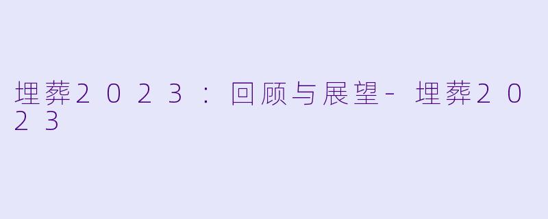 埋葬2023：回顾与展望-埋葬2023
