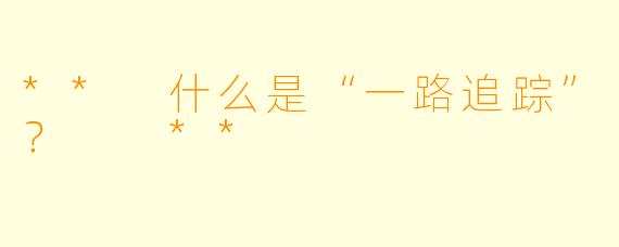 ** 什么是“一路追踪”？  **