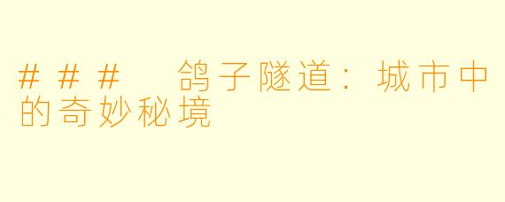 ### 鸽子隧道：城市中的奇妙秘境