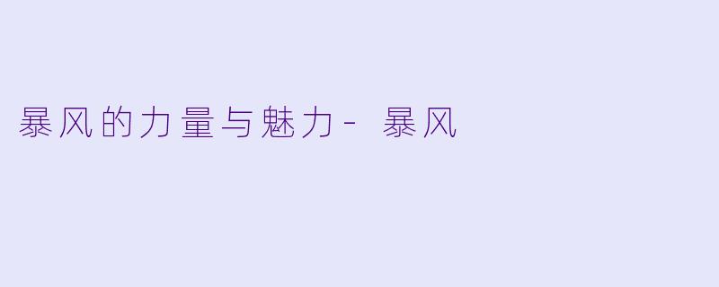 暴风的力量与魅力