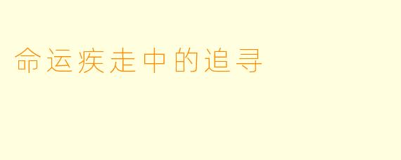 命运疾走中的追寻