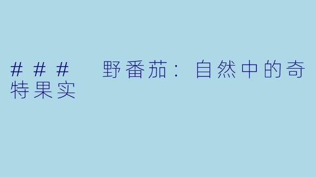 ### 野番茄：自然中的奇特果实