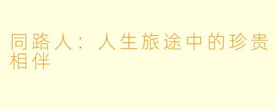 同路人：人生旅途中的珍贵相伴