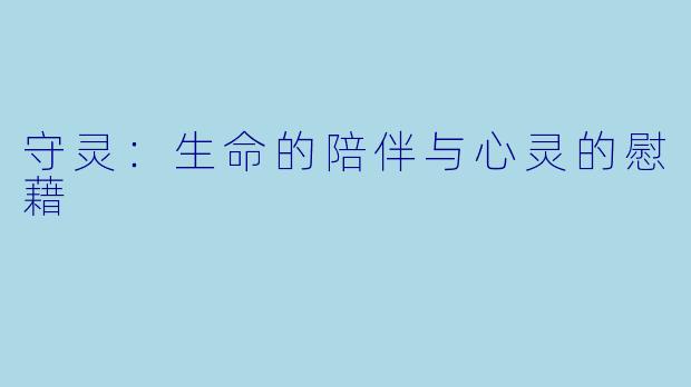 守灵：生命的陪伴与心灵的慰藉