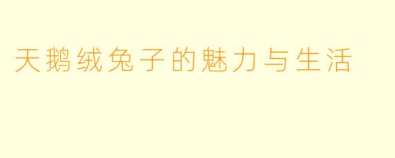 天鹅绒兔子的魅力与生活