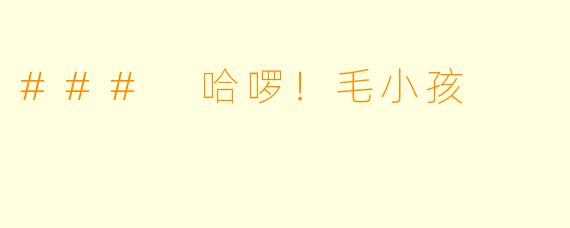 ### 哈啰！毛小孩