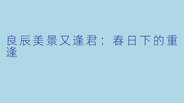 良辰美景又逢君：春日下的重逢