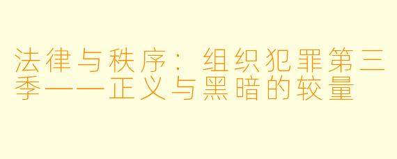 法律与秩序：组织犯罪第三季——正义与黑暗的较量