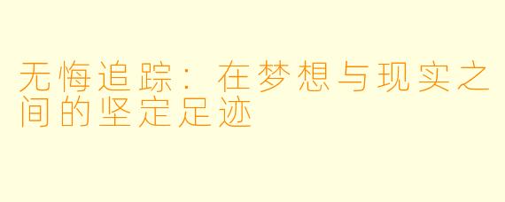 无悔追踪：在梦想与现实之间的坚定足迹