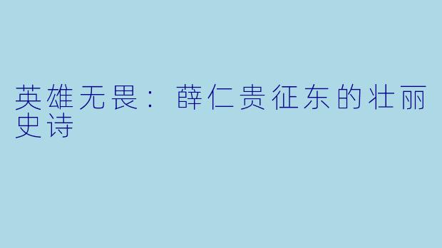 英雄无畏：薛仁贵征东的壮丽史诗