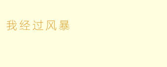 我经过风暴