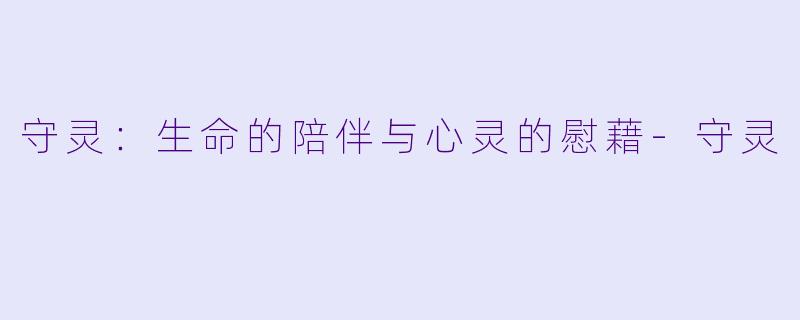 守灵：生命的陪伴与心灵的慰藉-守灵