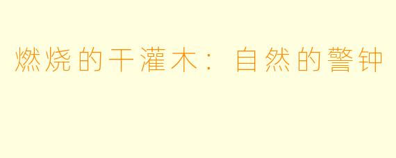 燃烧的干灌木：自然的警钟