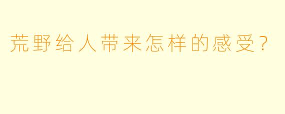 荒野给人带来怎样的感受？