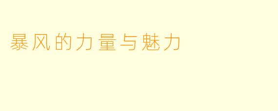 暴风的力量与魅力