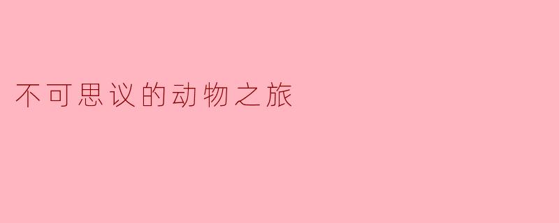 ### 不可思议的动物之旅