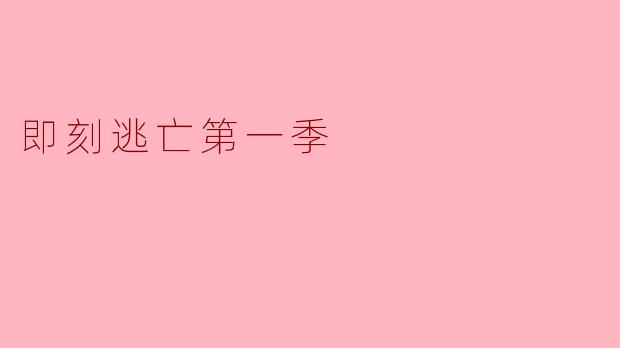 即刻逃亡第一季