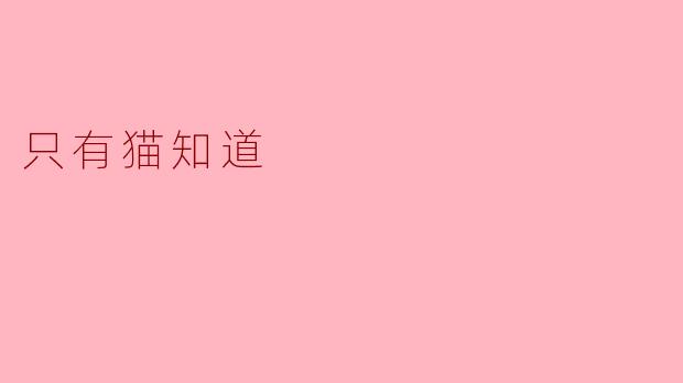 只有猫知道