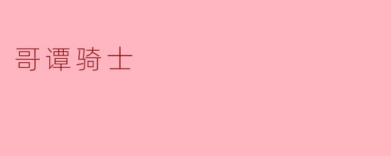 哥谭骑士