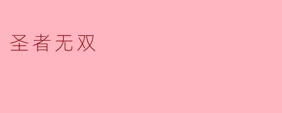 圣者无双