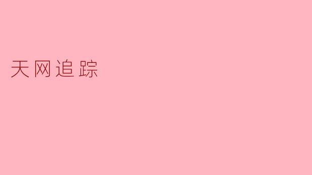 天网追踪