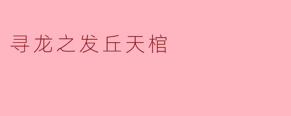寻龙之发丘天棺