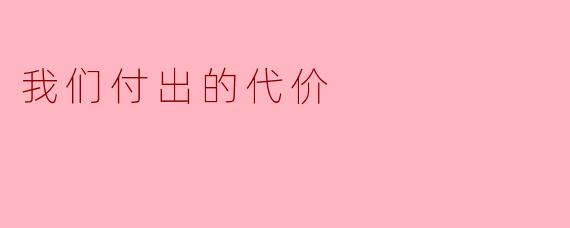 我们付出的代价