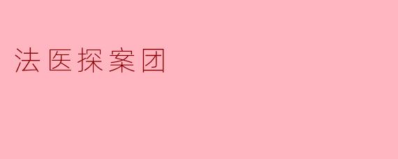 法医探案团