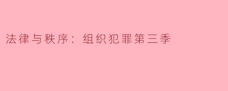 法律与秩序：组织犯罪第三季