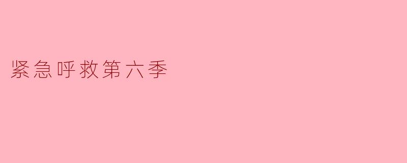 紧急呼救第六季