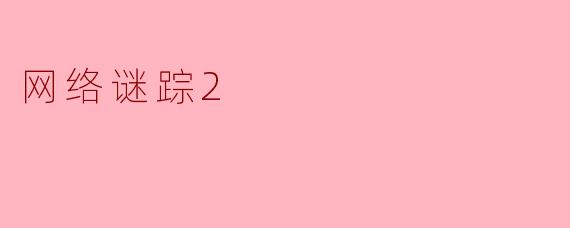 网络谜踪2:科技与推理的完美结合