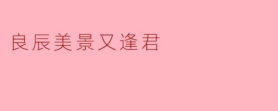 良辰美景又逢君