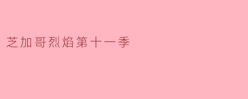 芝加哥烈焰第十一季的主要剧情有哪些变化?**