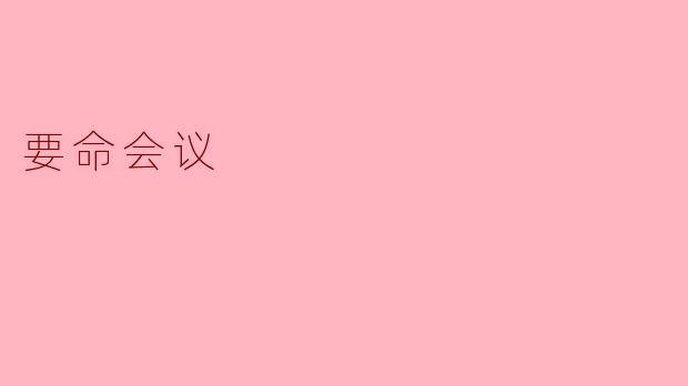 要命会议