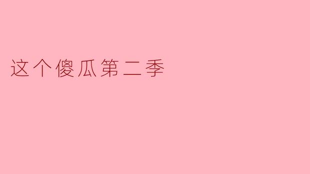 这个傻瓜第二季