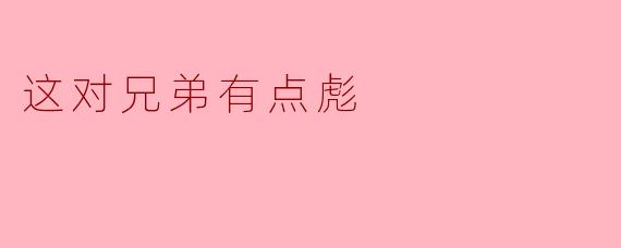 这对兄弟有点彪