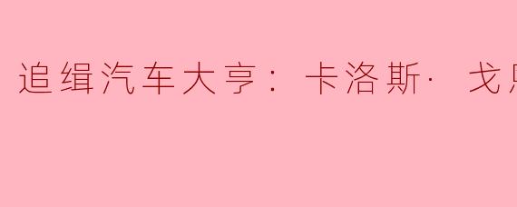 追缉汽车大亨：卡洛斯·戈恩的传奇与隐秘