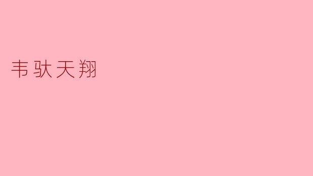 ### 韦驮天翔：守护与信仰的象征