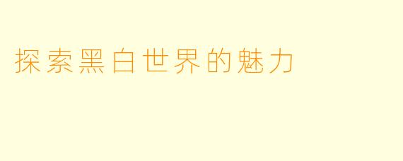 探索黑白世界的魅力