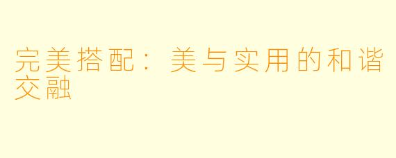 完美搭配:美与实用的和谐交融