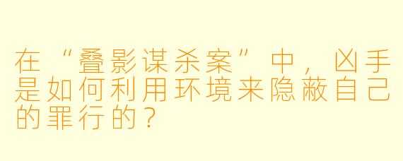 在“叠影谋杀案”中，凶手是如何利用环境来隐蔽自己的罪行的？