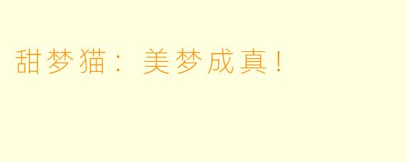 甜梦猫:美梦成真!