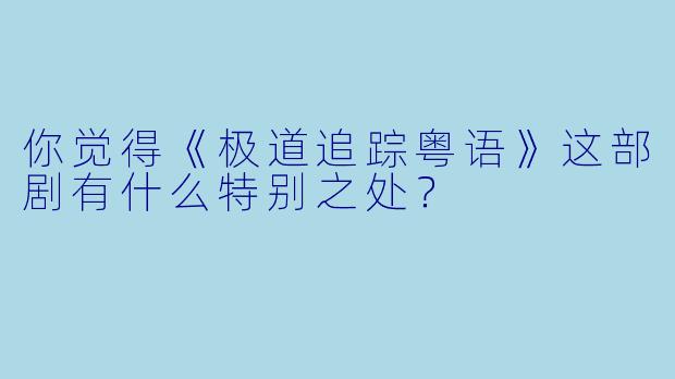 你觉得《极道追踪粤语》这部剧有什么特别之处？